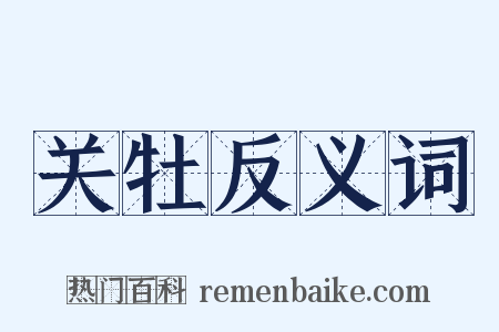 关牡反义词是什么意思的图片